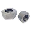 Picture of G10 CL150 BSP HOSETAIL NUT 316 