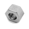 Picture of G25 CL150 BSP HOSETAIL NUT 316 