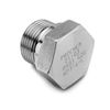 Picture of G10 BSP HEXAGON HEAD FLANGED PLUG 316 