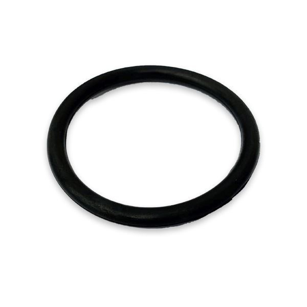 Picture of 101.6BSM CIP EPDM O-RING AUSTRALIAN CREVICE FREE SEALS 