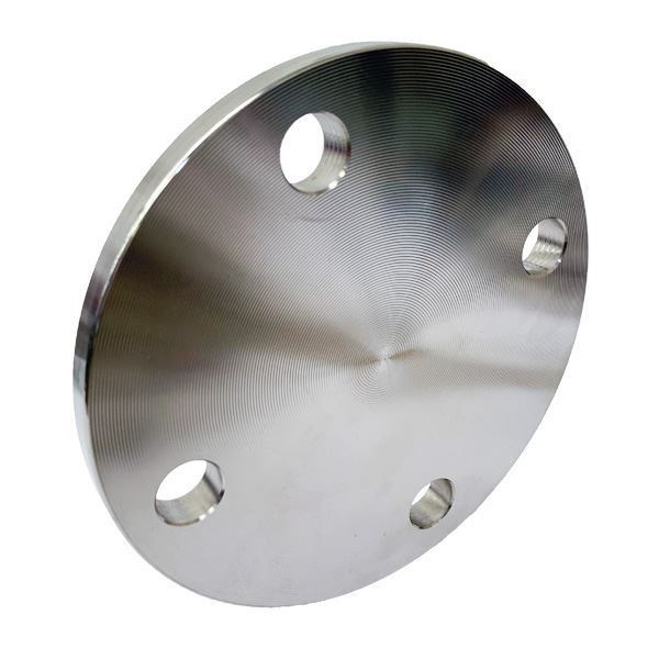 Picture of 200 AS4087 PN16 BLIND FLANGE TP316L 