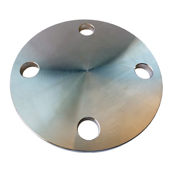 Picture of 125NB TABLE D BLIND FLANGE 304L