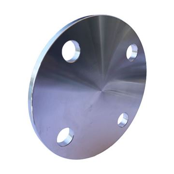 Picture of 150NB TABLE D BLIND FLANGE 316L  