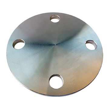 Picture of 250NB TABLE D BLIND FLANGE 316L  