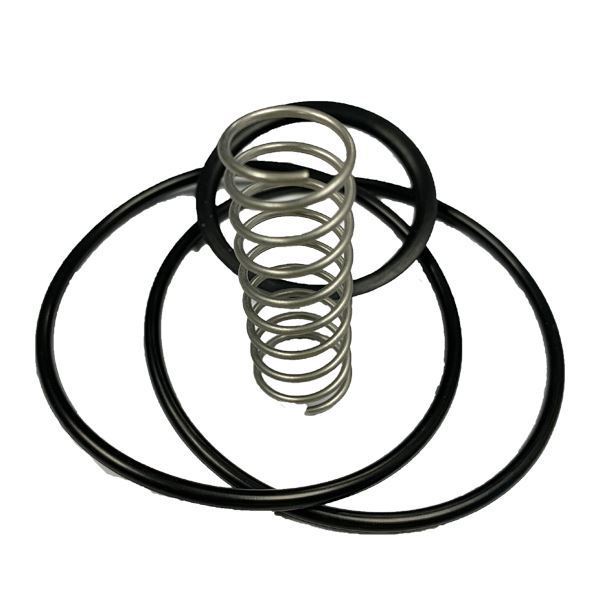 Picture of 38.1 NON-RETURN VALVE SERVICE KIT SPRING/O-RING 316 