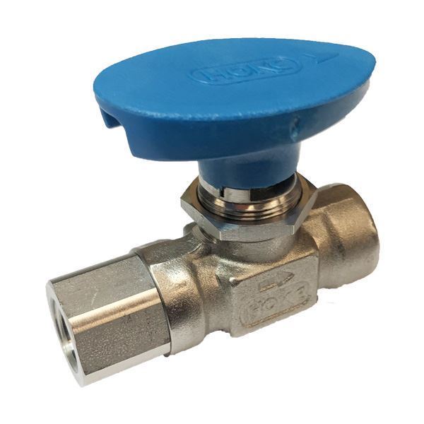 Picture of 8NPT FEMALE 2000PSI BALL VALVE FORGED BODY 316 FLOMITE 218DEG C SERVICE