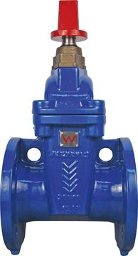 Picture of 200 TD FLANGED GATE VALVE RESILIENT SEAT FBE DI BODY ACC KEY CAP AS2638.2 WATERMARK