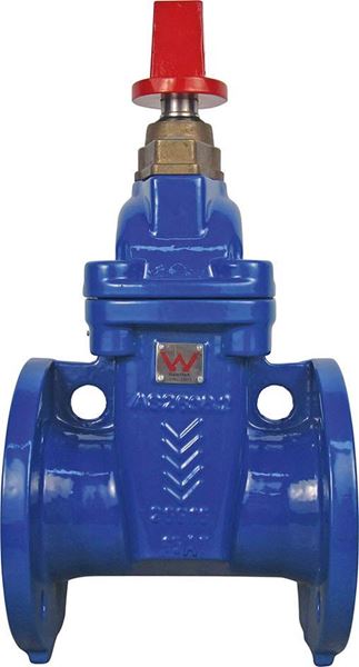 Picture of 80 TD FLANGED GATE VALVE RESILIENT SEAT FBE DI BODY CWC HAND WHEEL AS2638.2 WATERMARK
