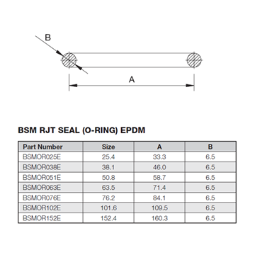 Picture of 25.4 BSM EPDM ORing