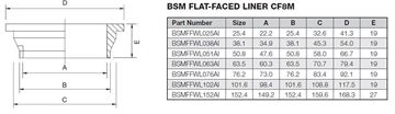 Picture of 38.1 BSM FLAT FACE BUTTWELD LINER CF8M