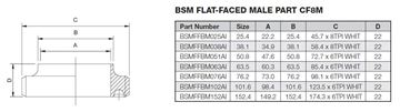 Picture of 63.5 BSM FLAT FACE BUTTWELD MALE PART CF8M
