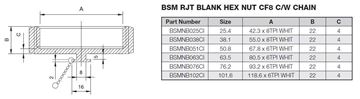 Picture of 63.5 BSM BLANK HEXAGON NUT CF8 C/W CHAIN