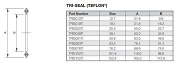Picture of 25.4 TriClamp SEAL TEFLON