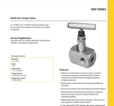 M5F MultiPort Gauge Valves