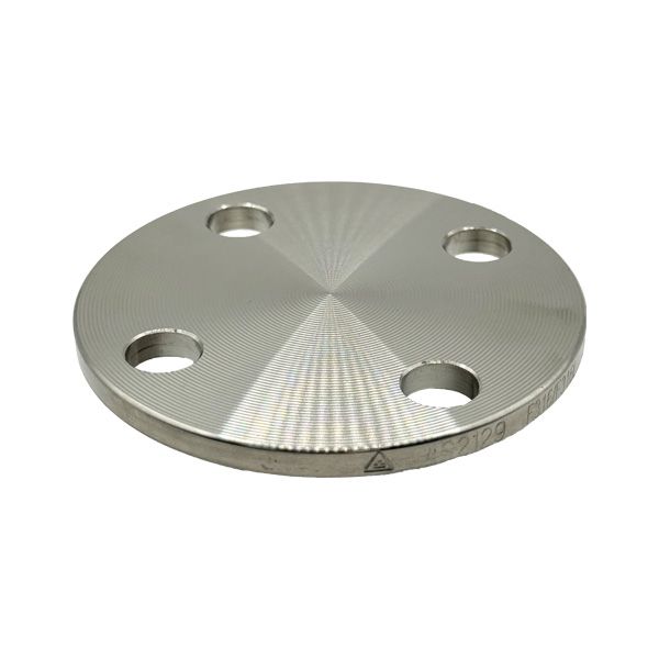 Picture of 20 TABLE E BLIND FLANGE 316L  