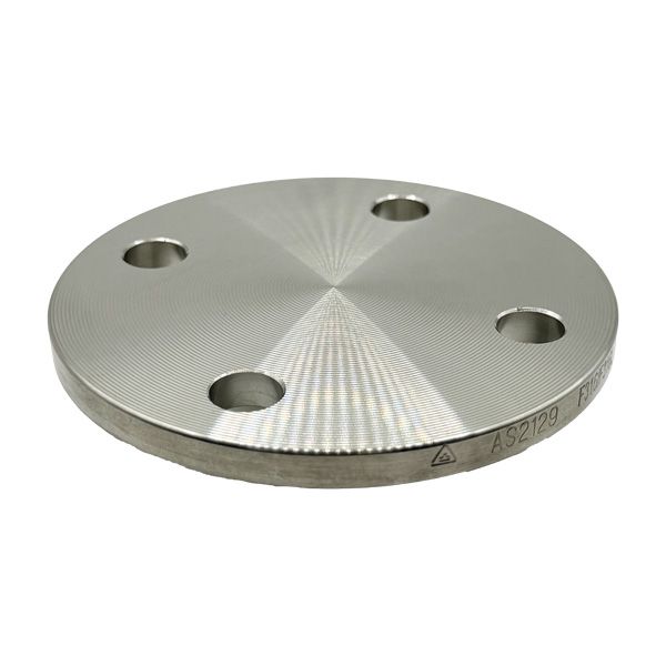 Picture of 25 TABLE E BLIND FLANGE 316L  