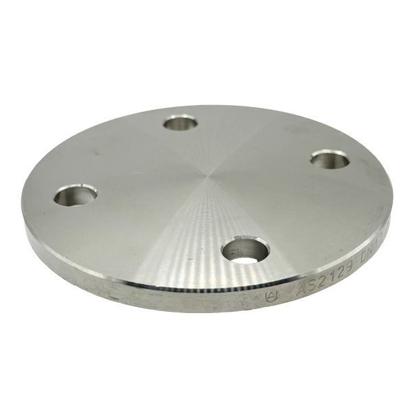 Picture of 40 TABLE E BLIND FLANGE 316L  