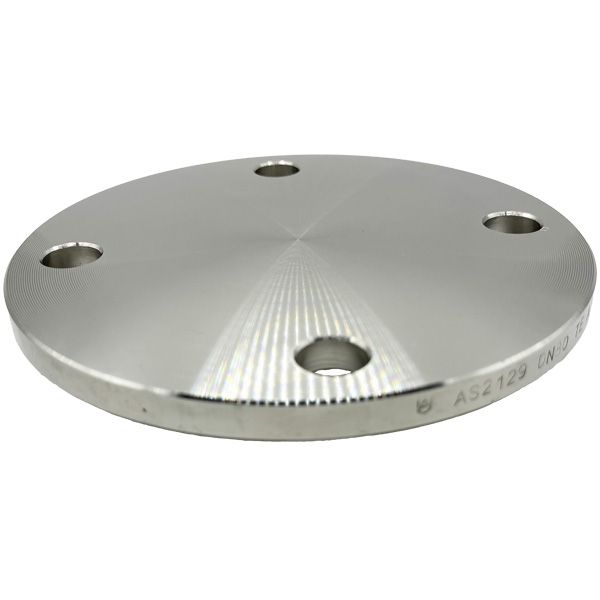 Picture of 80 TABLE E BLIND FLANGE 316L  