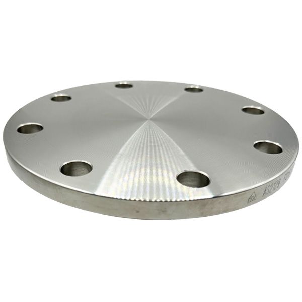 Picture of 100 TABLE E BLIND FLANGE 316L  