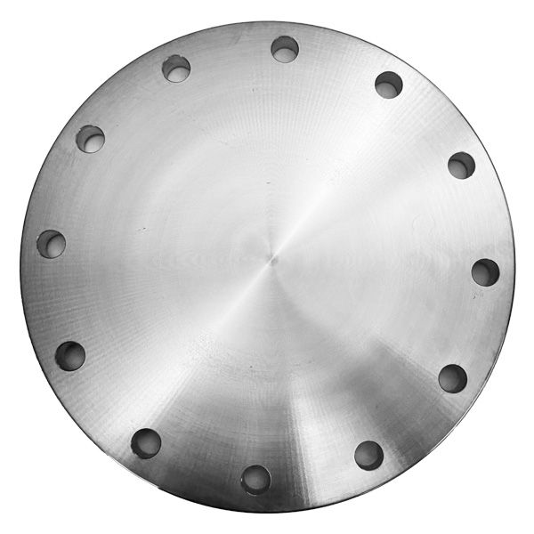Picture of 400 TABLE E BLIND FLANGE 316L  