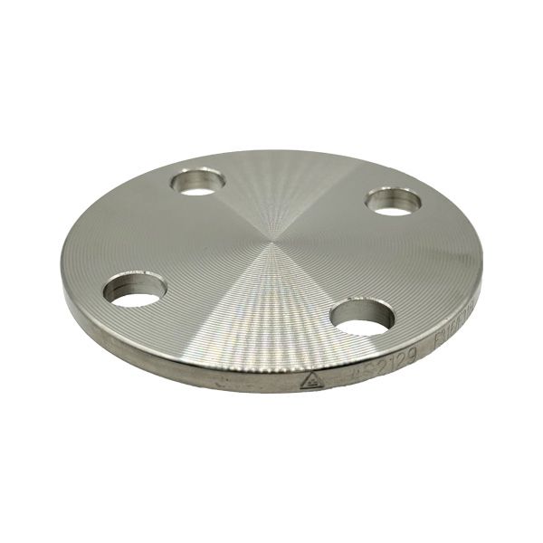 Picture of 20 TABLE E BLIND FLANGE 304L  