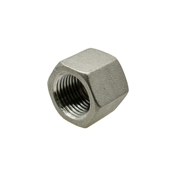 Picture of Rc10 CL150 BSP HEXAGON HEAD CAP 316 