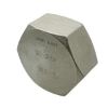 Picture of Rc50 CL150 BSP HEXAGON CAP 316  