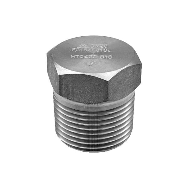 Picture of 20NPT HEXAGON HEAD PLUG 316  