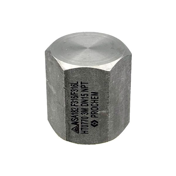 Picture of 15NPT CL3000 HEXAGON CAP 316  