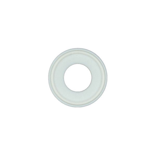 Picture of 25.4 TRI-CLAMP SEAL TEFLON  