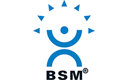 BSM Valves